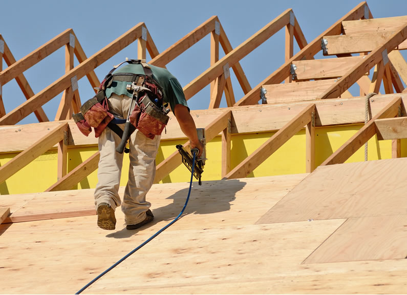 Göknar, Ladin/Çam Kontrplak